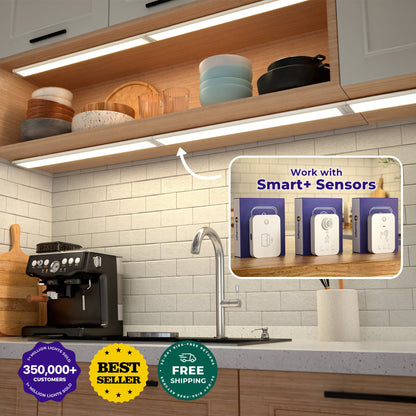 Smart+ Everywhere Light